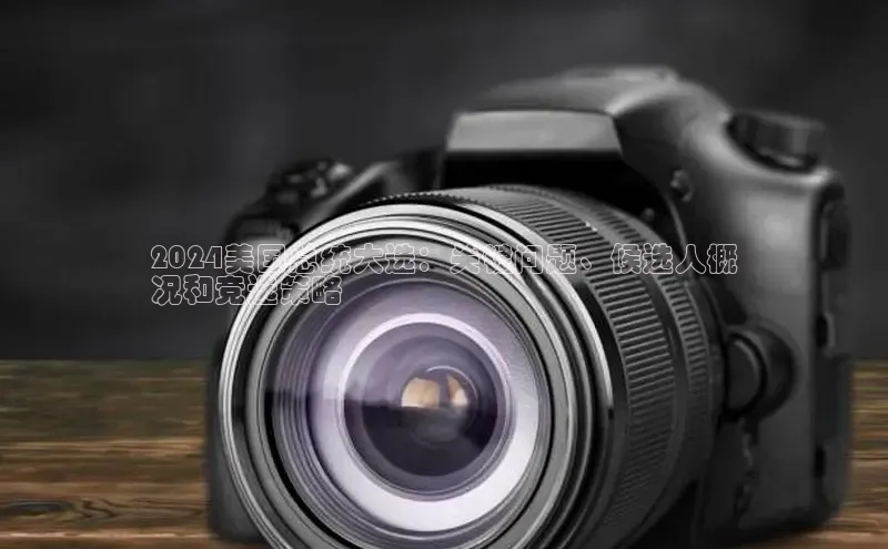 悟空体育直播app官方下载安装百度识图2024美国总统大选：关键问题、候选人概
况和竞选策略