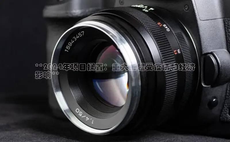 悟空体育平台登录入口华策影视**2024年项目搁置：重大工程受疫情和经济
影响**