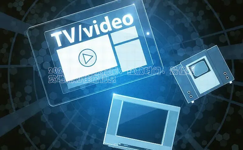 悟空娱乐官方网站入口百度集团2024河津樱祭指南：绽放时间、最佳观
赏地点和住宿信息