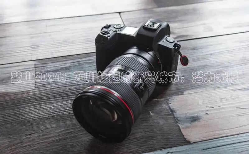 悟空体育ARGA公司璧山2024：四川崛起的新兴城市，潜力无限