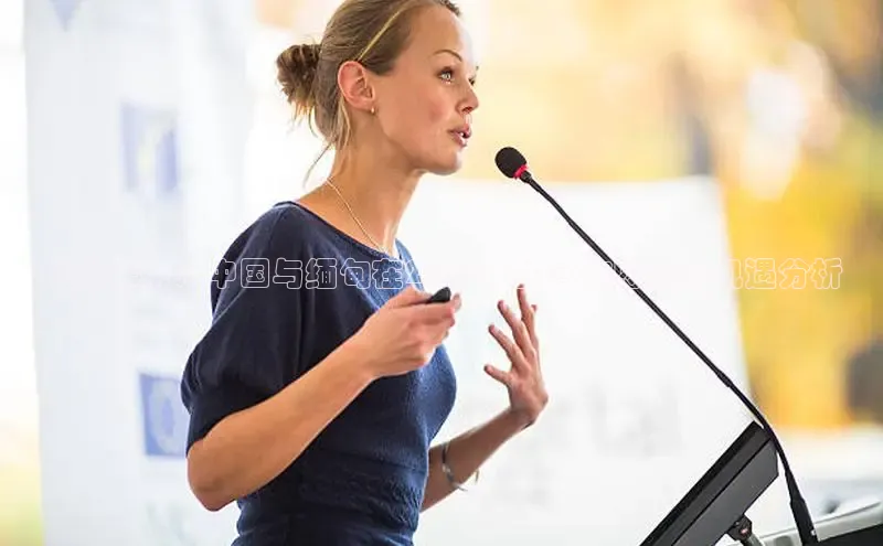 悟空体育平台登录入口百度学术展望未来：中国与缅甸在2025年的合作愿景与机遇分析