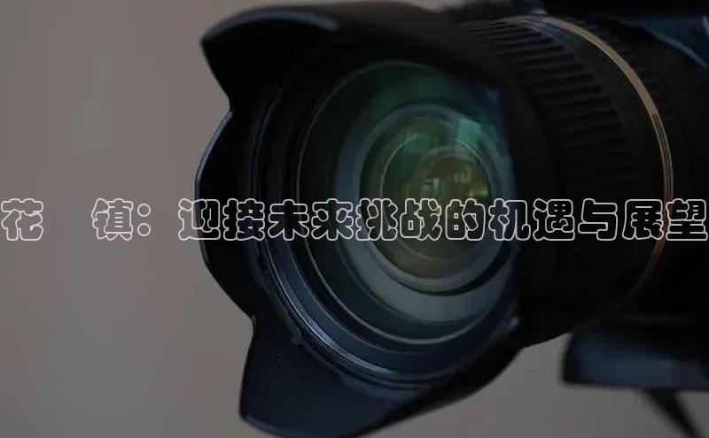 花荄镇：迎接未来挑战的机遇与展望