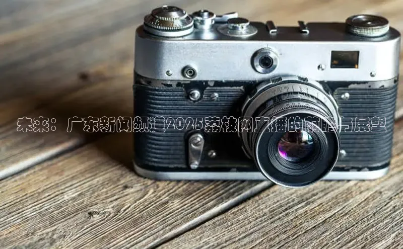 未来：广东新闻频道2025荔枝网直播的前瞻与展望