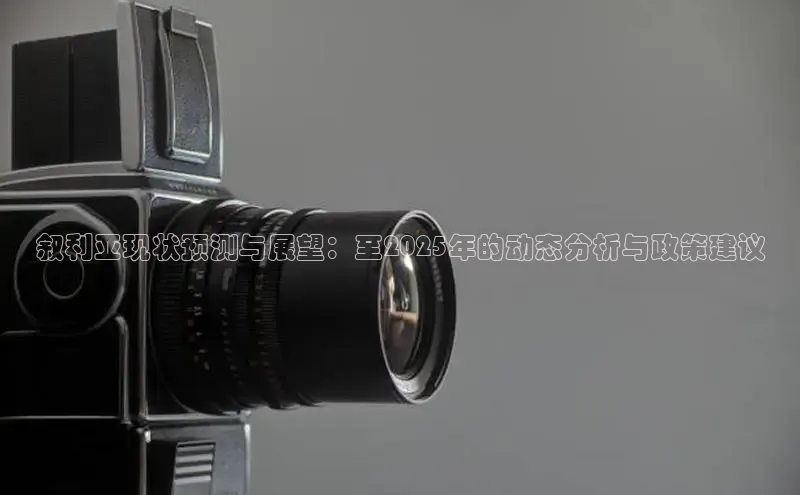 叙利亚现状预测与展望：至2025年的动态分析与政策建议