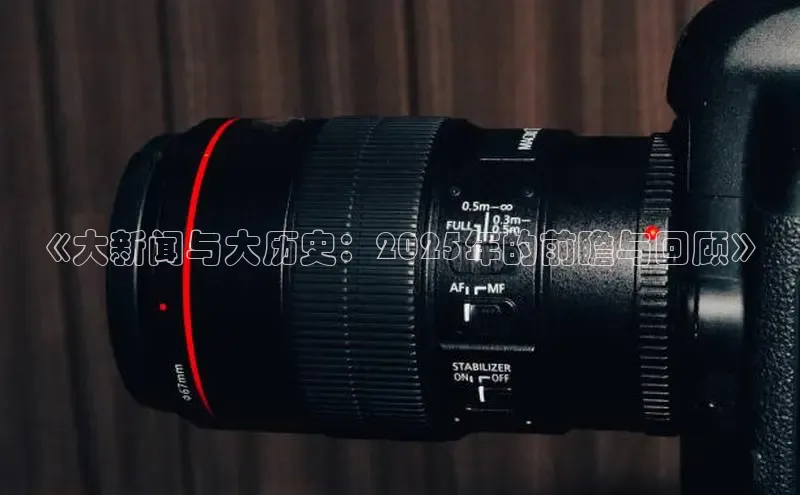 《大新闻与大历史：2025年的前瞻与回顾》