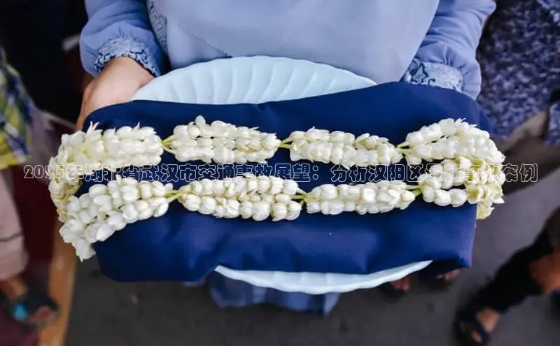 2025年湖北省武汉市交通事故展望：分析汉阳区最新事故案例