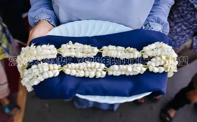 洞察未来趋势：2025年的政策与改革展望