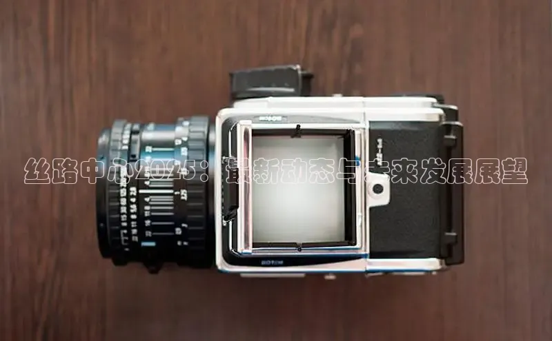 丝路中心2025：最新动态与未来发展展望