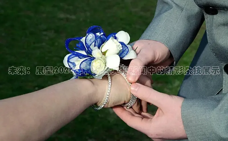 悟空体育平台登录入口