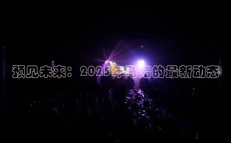 预见未来：2025年马渚的最新动态